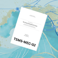 Timeline Surfing™ Monograph - The Frame Beneath the Frame (Paper TSMS-MEC-02)